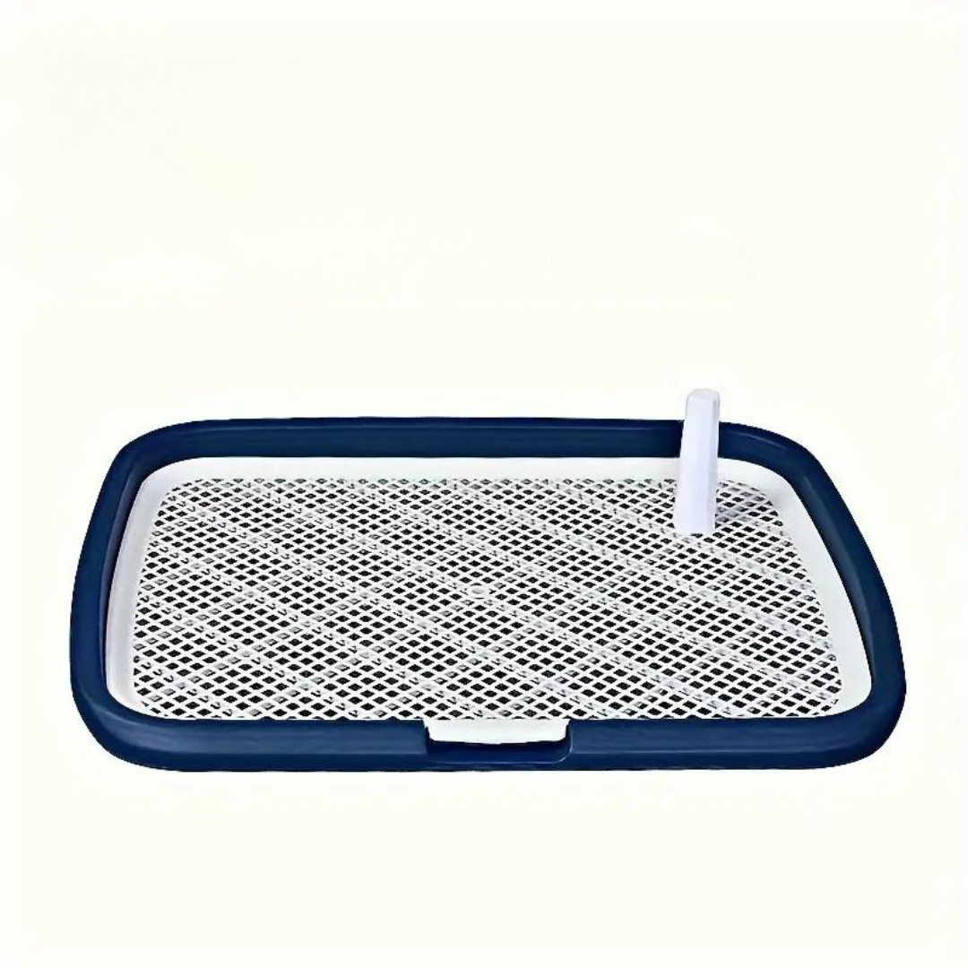 Dotty Toilette zum Töpfchentraining