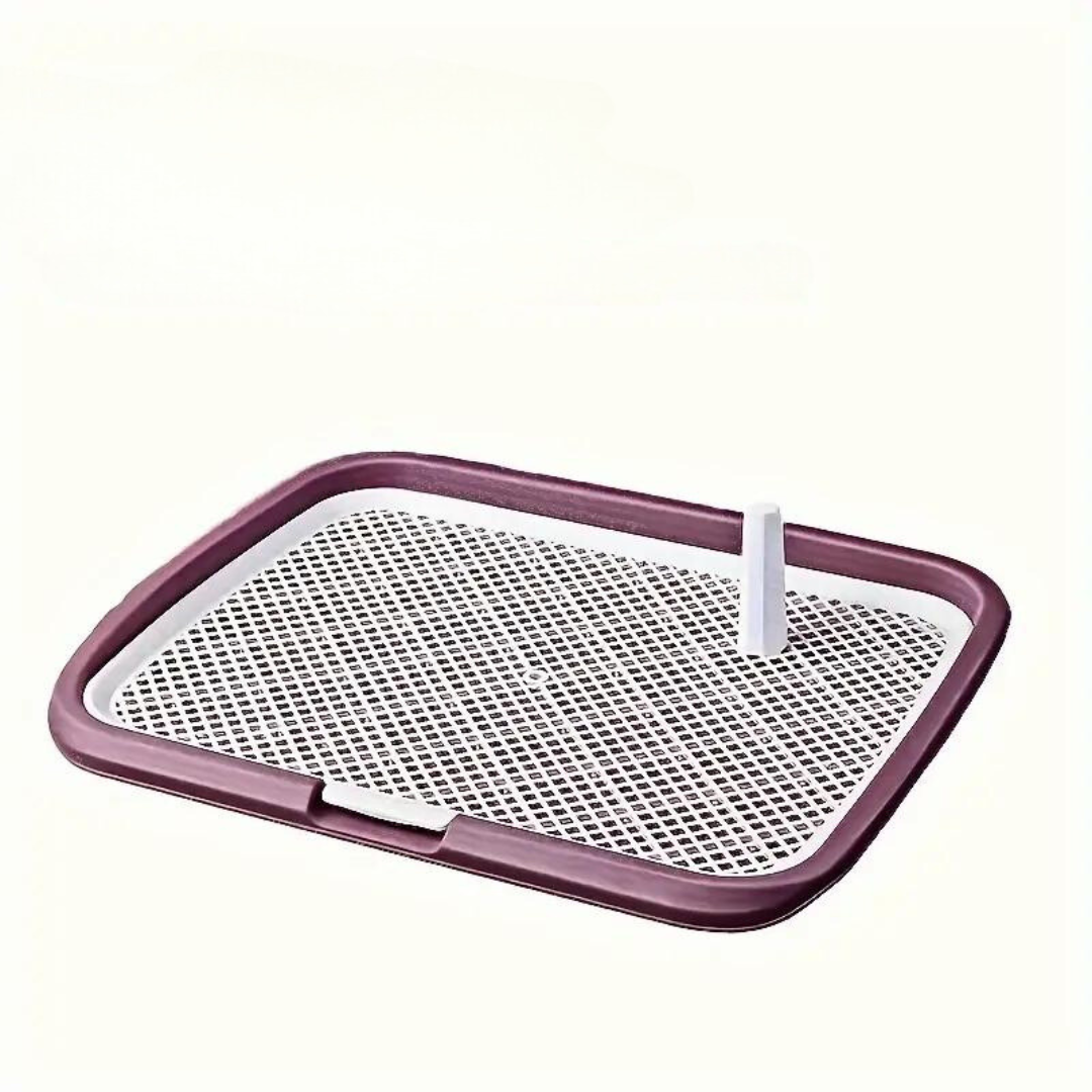 Dotty Toilette zum Töpfchentraining