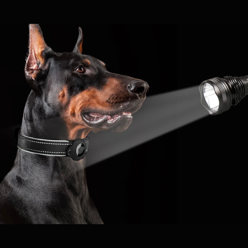 Alfred Reflektierendes Hundehalsband mit AirTag