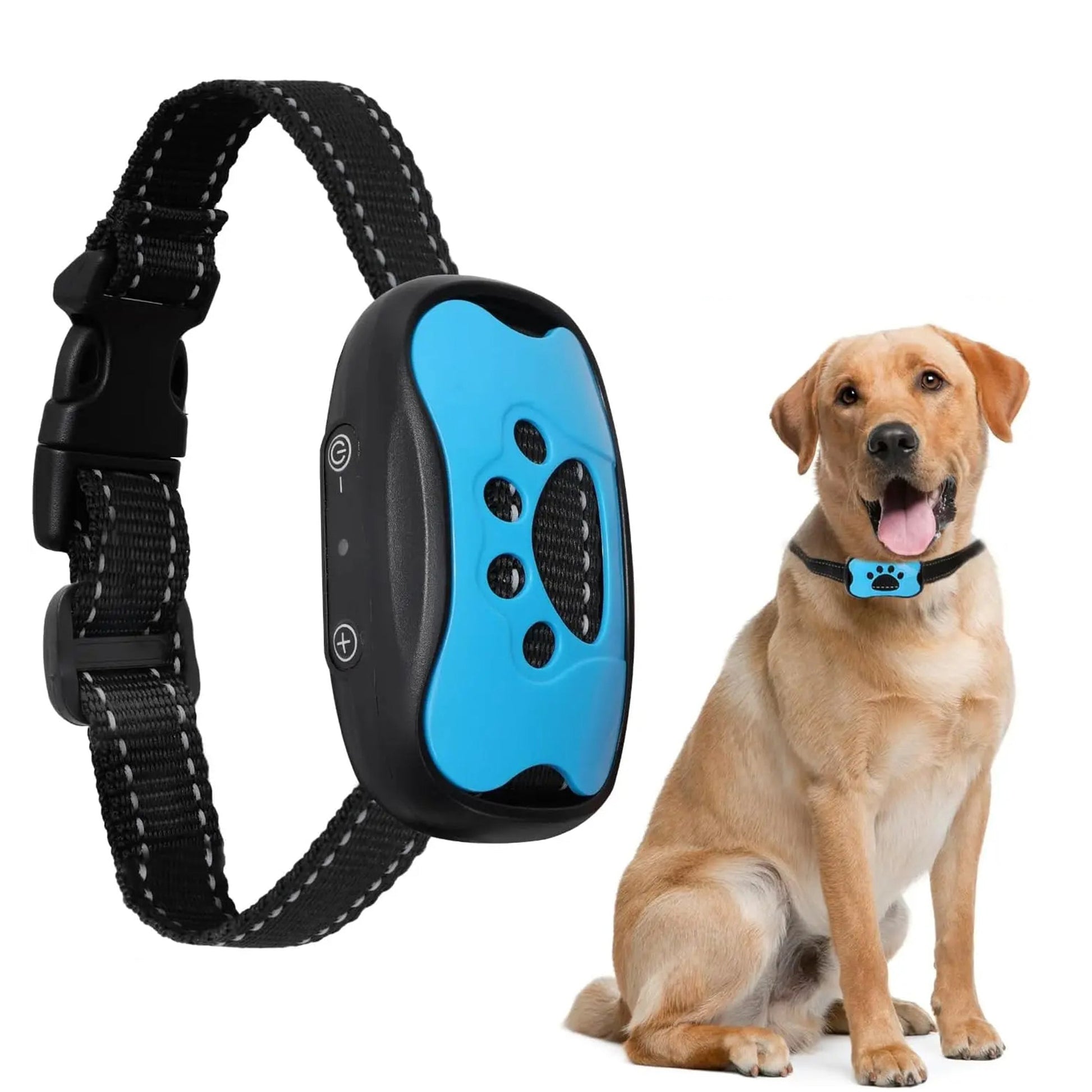 Zeus Anti Bell Halsband