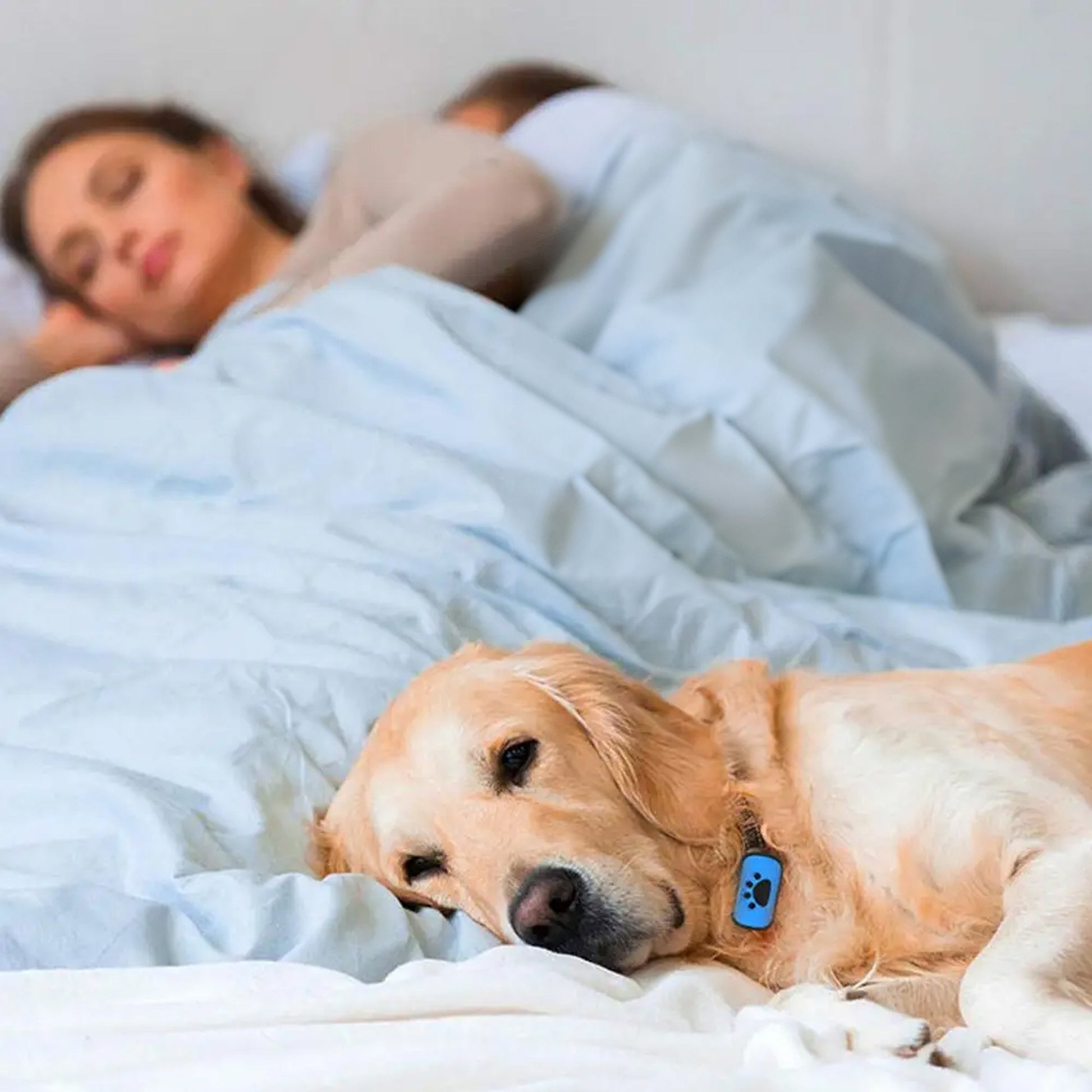 Zeus Anti Bell Halsband