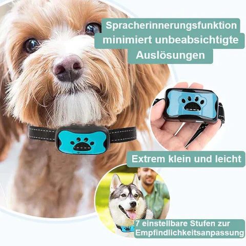 Zeus Anti Bell Halsband