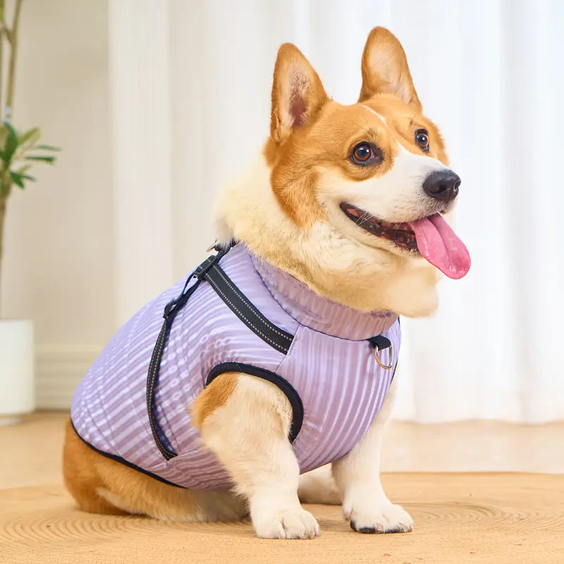 Anke Hundejacke