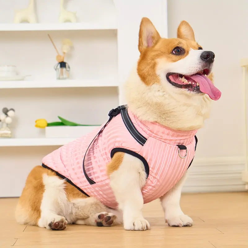 Anke Hundejacke
