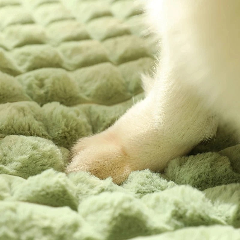 Kimba Hundebett für Unterstützung und Komfort