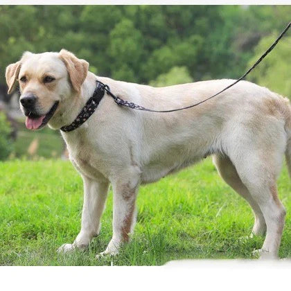 Agnes Hundehalsband und Leine