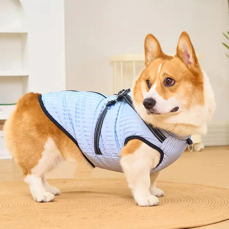 Anke Hundejacke