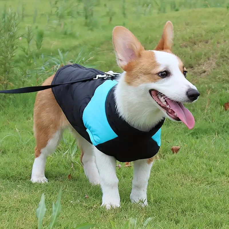 Wolfi Hundemantel
