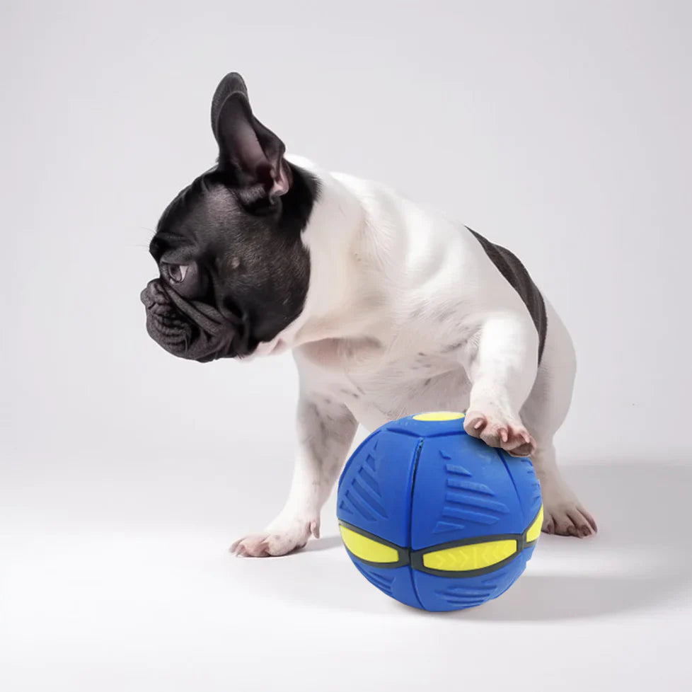 Ruby | Frisbee-Ball für Haustiere