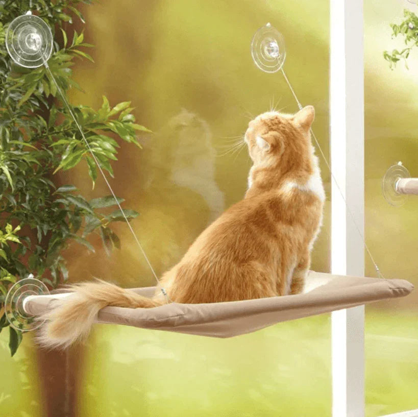 Jerry Fenster Hängematte für Katzen