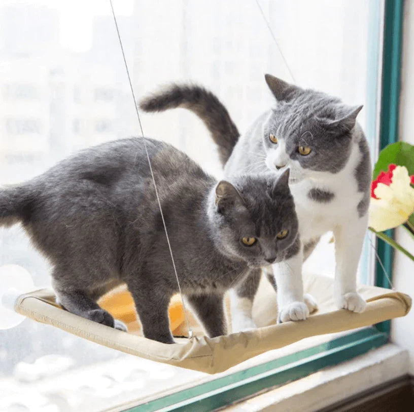 Jerry Fenster Hängematte für Katzen