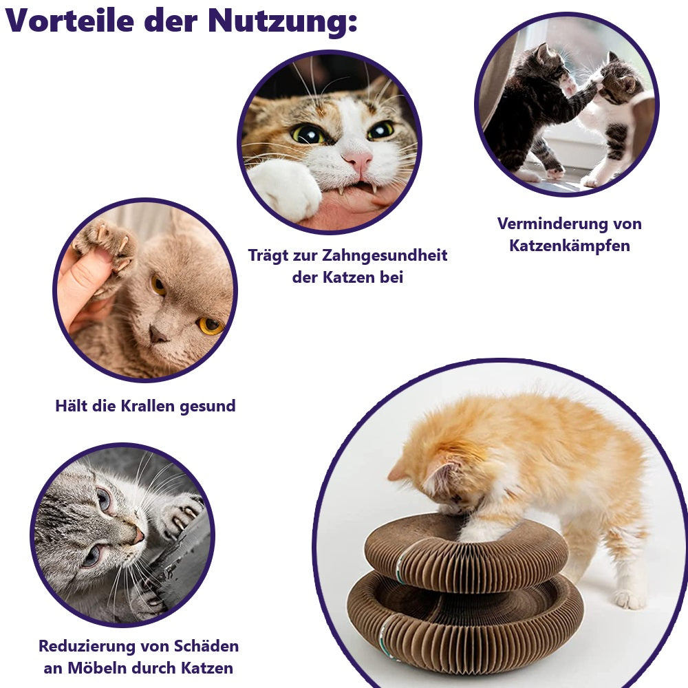 Gizmo | Kratzorgel, die Stress und Langeweile reduziert