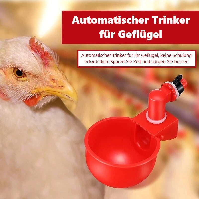 Klara | Automatischer Wasserspender für Geflügel