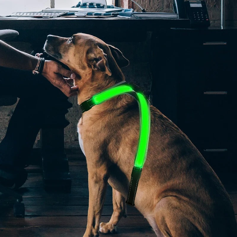 Lasse USB-Aufladbares LED-Hundegeschirr