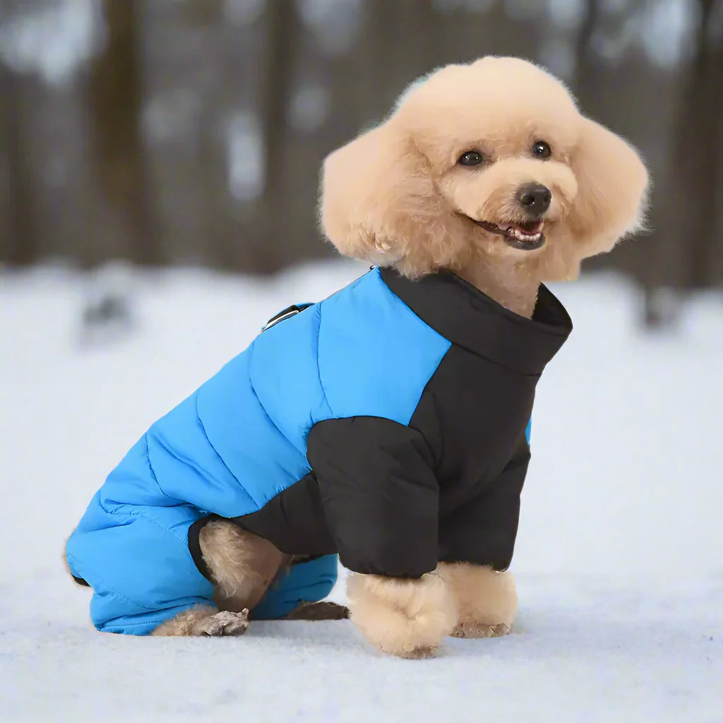 Lutz Hundemantel für Winter