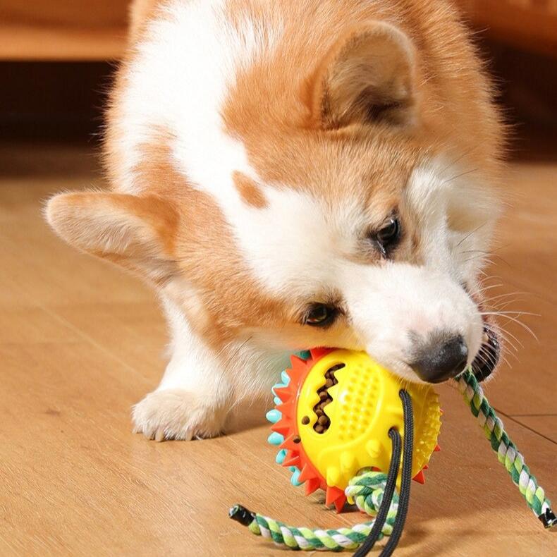Fluffy | Interaktives Kauspielzeug für Hunde