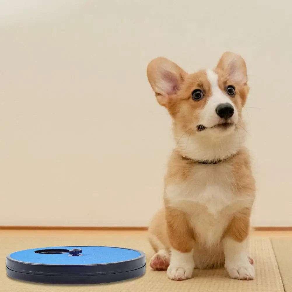 Karl Hundespielzeug mit Krallenpflege