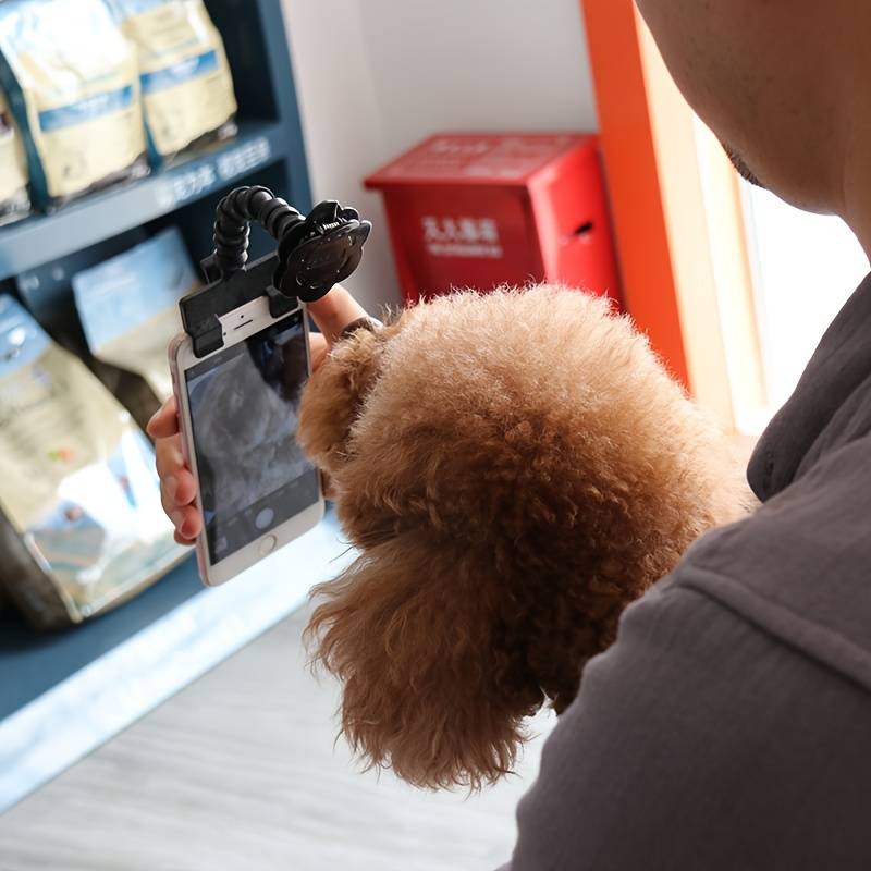 Posy Telefonhalter für Fotografie