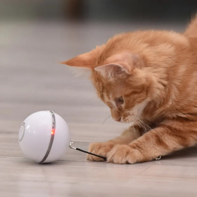 Cleo Automatischer Spielball für Katzen und Hunde
