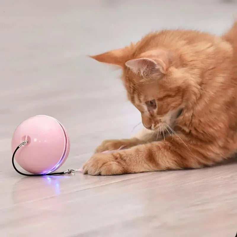 Cleo Automatischer Spielball für Katzen und Hunde