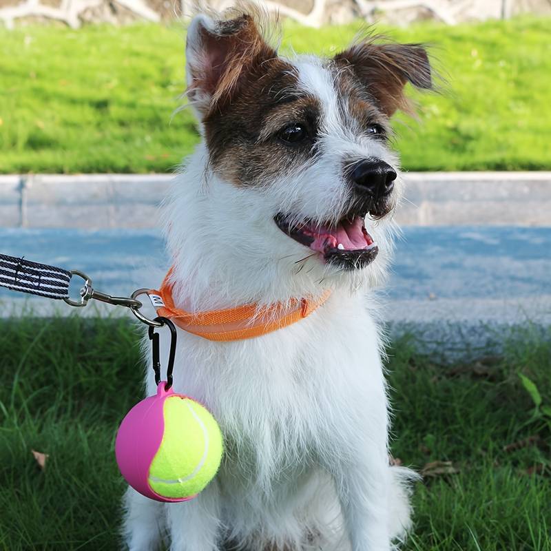 Viva Tennisball halter für Hunde