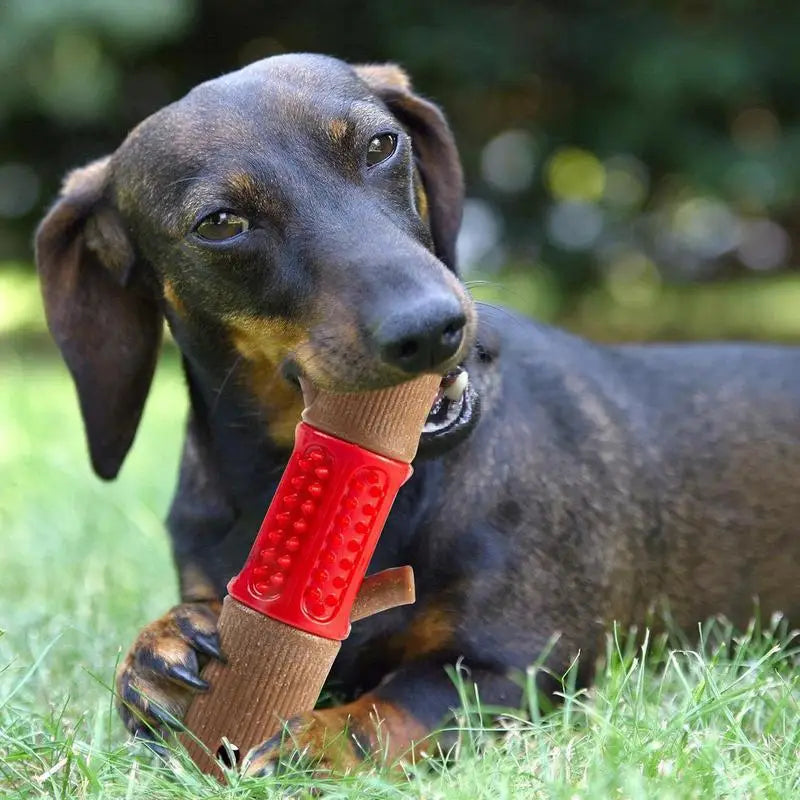 Arno Kauspielzeug für Hunde