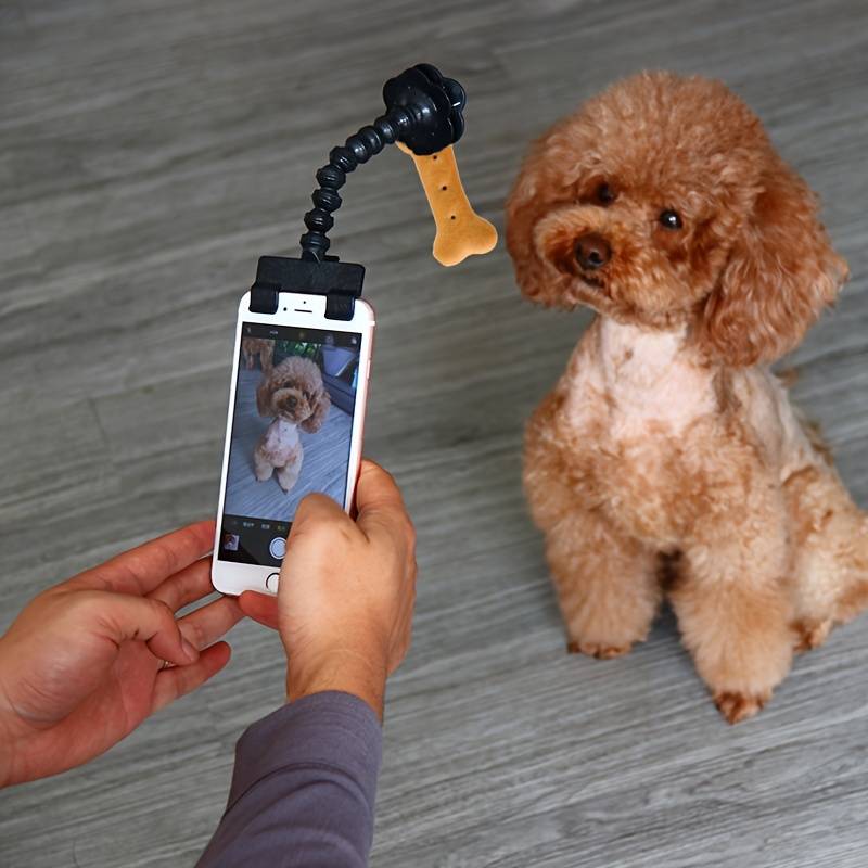 Posy Telefonhalter für Fotografie