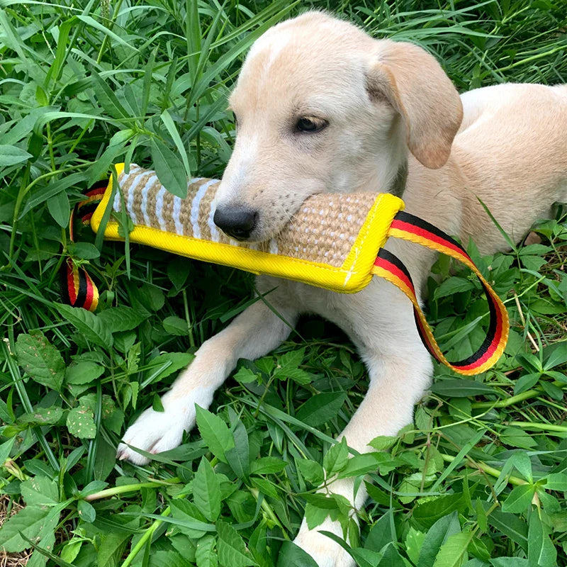 Alfons Jute Beißrolle für Hunde