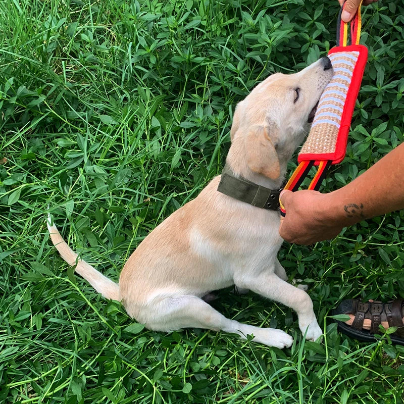 Alfons Jute Beißrolle für Hunde