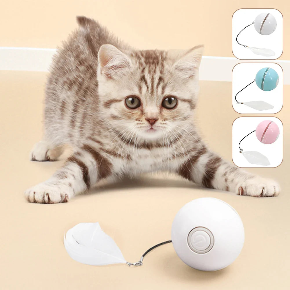 Cleo Automatischer Spielball für Katzen und Hunde
