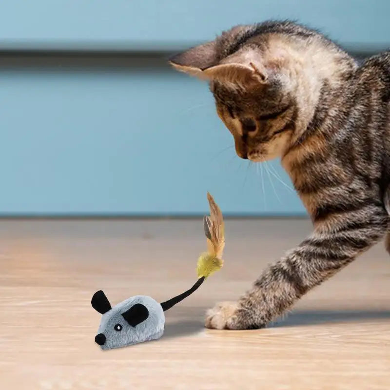 Elvira Spielzeug für Katzen