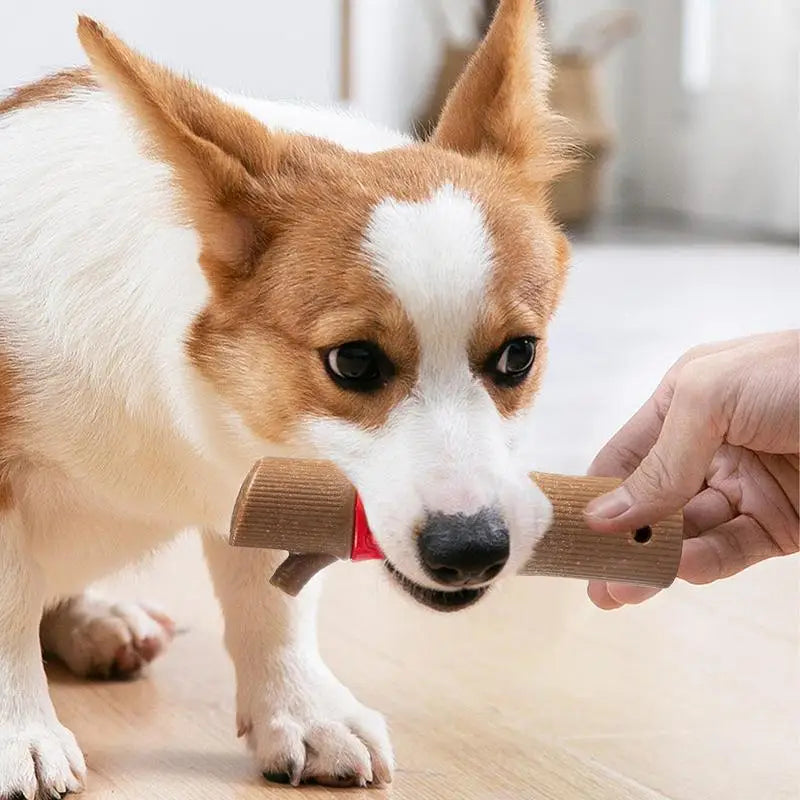 Arno Kauspielzeug für Hunde