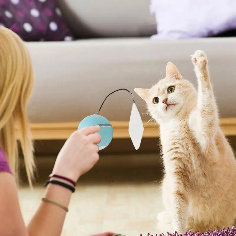 Cleo Automatischer Spielball für Katzen und Hunde
