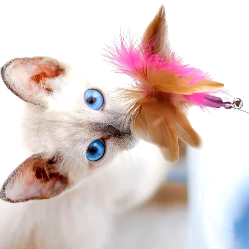 Sophie Interaktives Spiel Halsband für Katzen