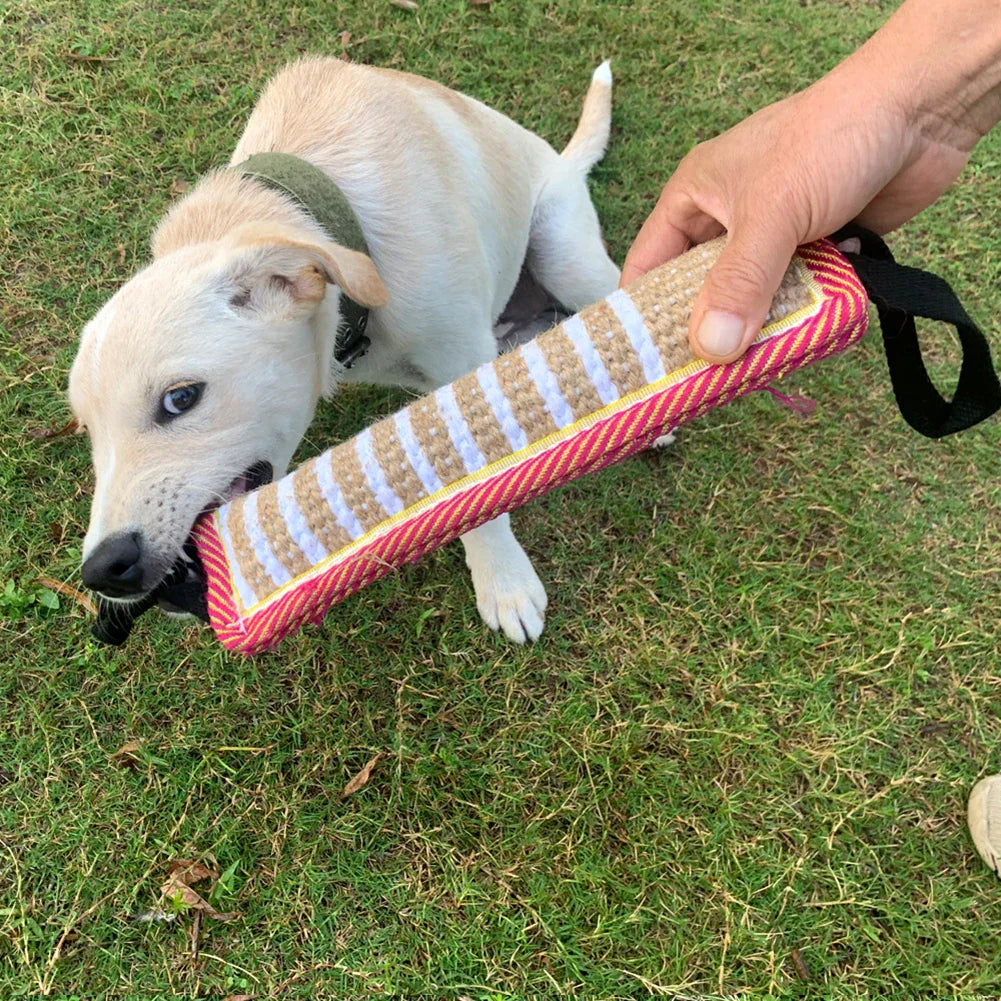 Alfons Jute Beißrolle für Hunde