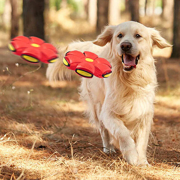 Ruby | Frisbee-Ball für Haustiere