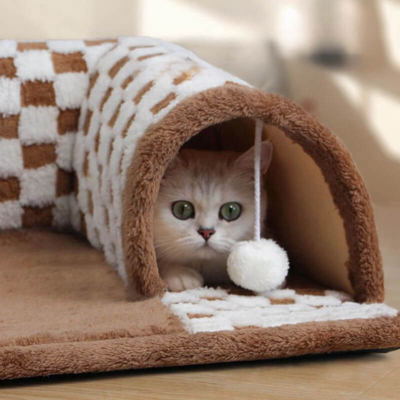 Tigger | Der Spieltunnel für Stressfreie Katzen