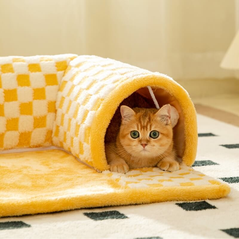 Tigger | Der Spieltunnel für Stressfreie Katzen