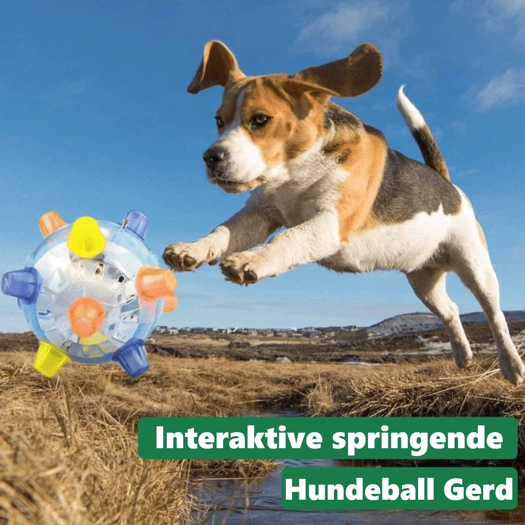 Gerd | Springende Hundeball, die Langeweile reduziert