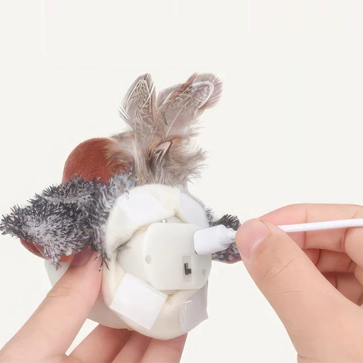 Pfiffi Interaktives Katzenspielzeug