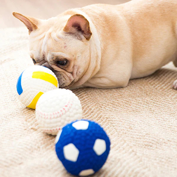 Jasper | Kauball zur Stressreduzierung bei Hunden