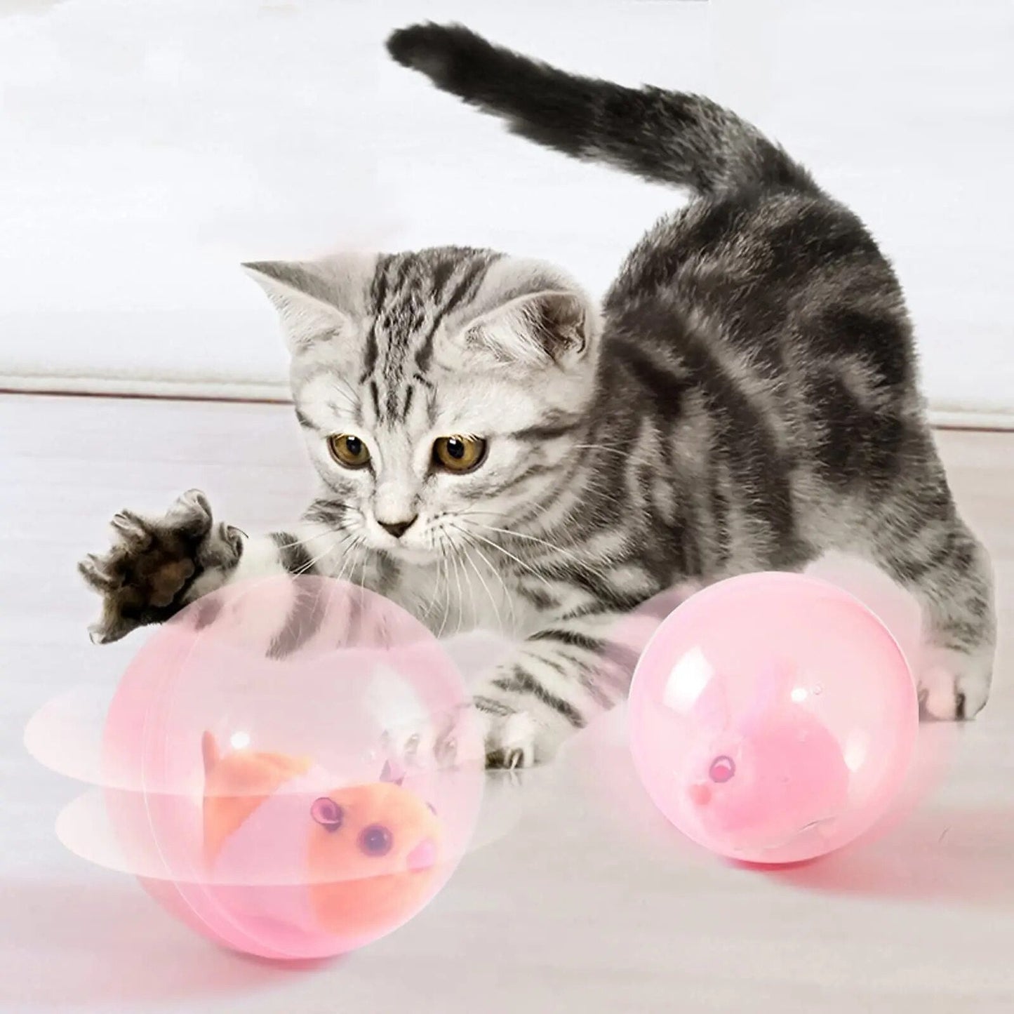 Winnie | Spielball für Hunde und Katzen, der Langeweile reduziert