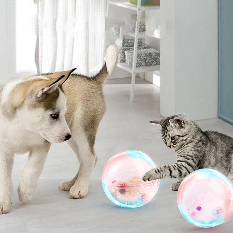 Winnie | Spielball für Hunde und Katzen, der Langeweile reduziert