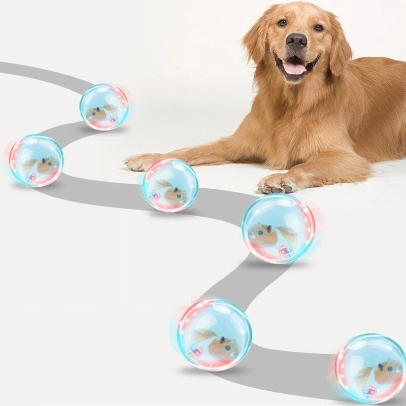 Winnie | Spielball für Hunde und Katzen, der Langeweile reduziert