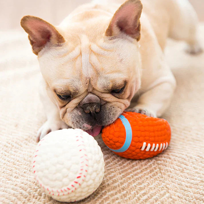 Jasper | Kauball zur Stressreduzierung bei Hunden