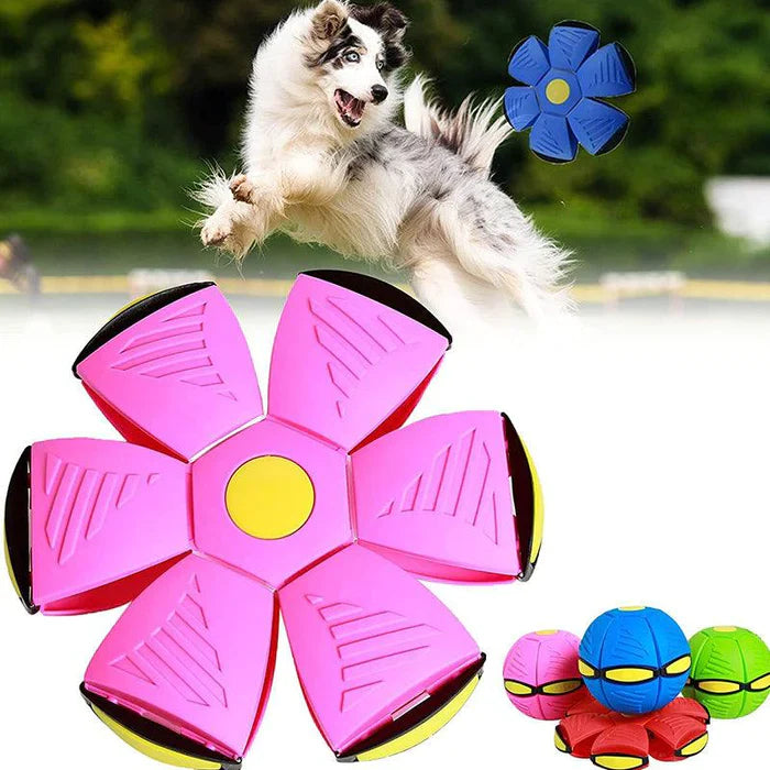 Ruby | Frisbee-Ball für Haustiere