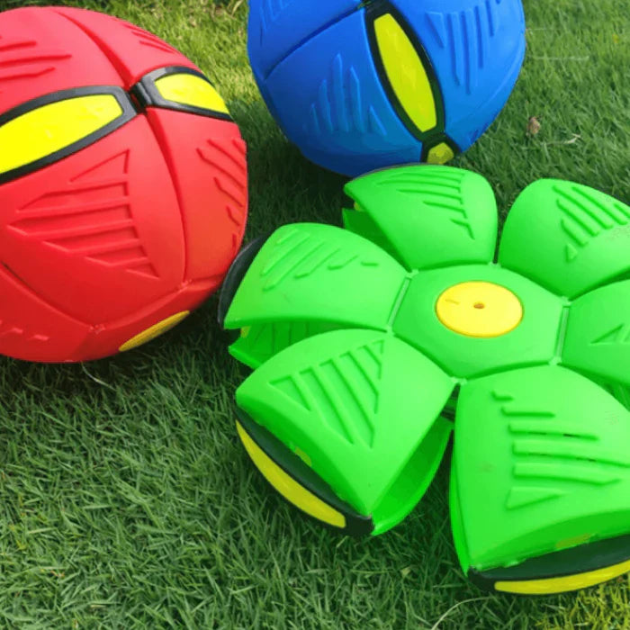 Ruby | Frisbee-Ball für Haustiere