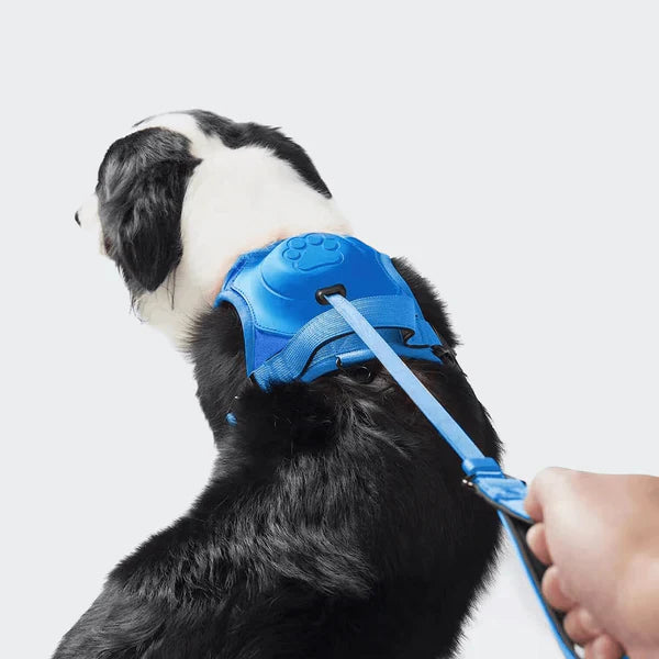 Cindy | Hundegeschirr gegen Ziehen
