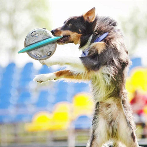 Milo | UFO-förmiges interaktives Futterspielzeug