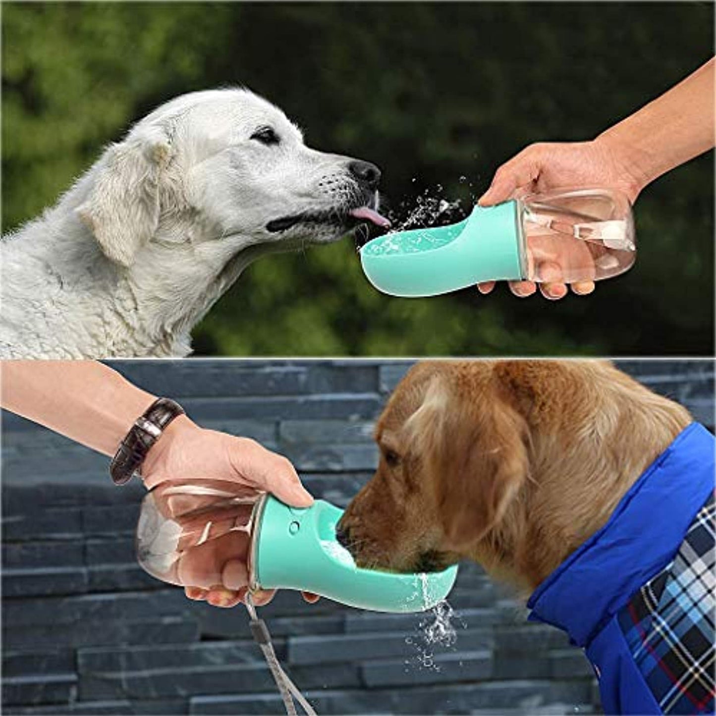Leo | Lekfreie Wasserflasche für unterwegs